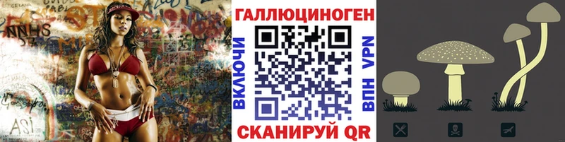 Купить закладки  Лангепас  Псилоцибиновые грибы Psilocybe 